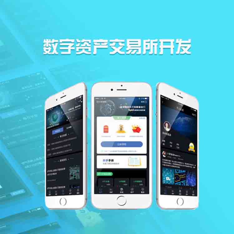 移动定制手机APP与计算机软硬件技术开发 推动企业数字化转型的双引擎